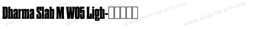 Dharma Slab M W05 Ligh字体转换